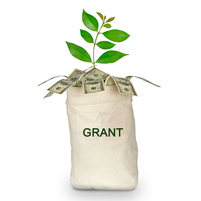 Small Grant Award Graphic